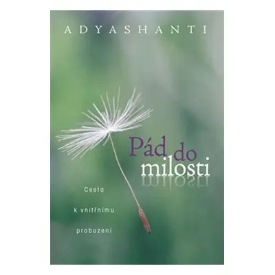 Pád do milosti - Cesta k vnitřnímu probuzení - Adyashanti