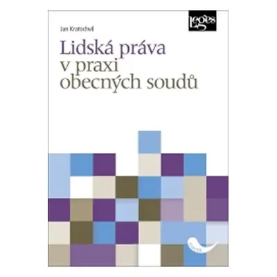 Lidská práva v praxi obecných soudů - Jan Kratochvíl