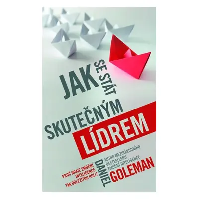 Jak se stát skutečným lídrem - Daniel Goleman