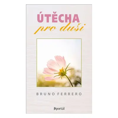 Útěcha pro duši - Bruno Ferrero