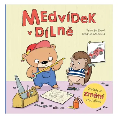 Medvídek v dílně - Petra Bartíková