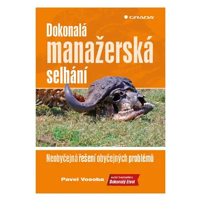 Dokonalá manažérská selhání - Pavel Vosoba