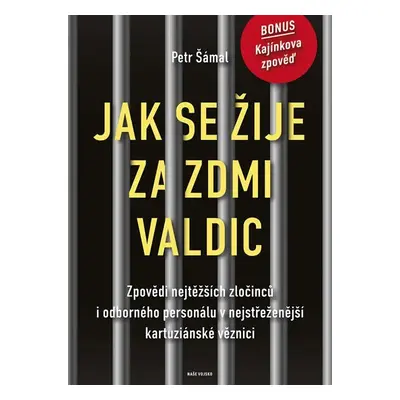 Jak se žije za zdmi Valdic - Zpovědi nejtěžších zločinců i odborného personálu v nejstřeženější 