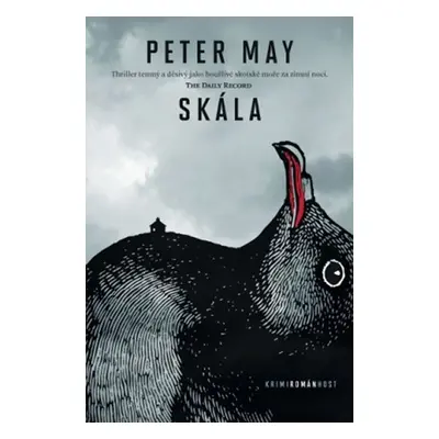 Skála - brož. - Peter May