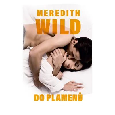 Do plamenů - Meredith Wild