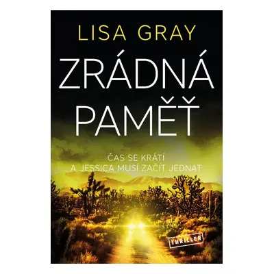 Zrádná paměť - Lisa Gray