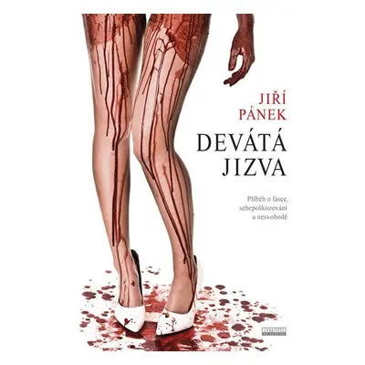 Devátá jizva - Příběh o lásce, sebepoškozování a nesvobodě - Jiří Pánek