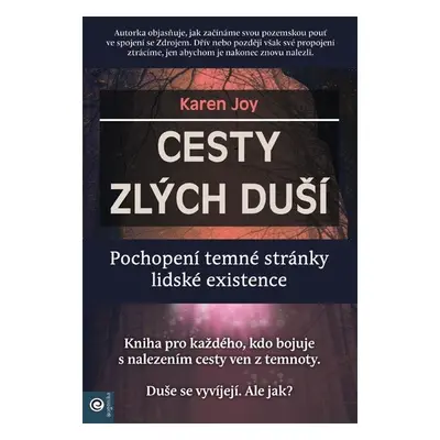 Cesty zlých duší - Pochopení temné stránky lidské existence - Karen Joy