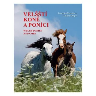 Velšští koně a poníci / Welsh Ponies and Cobs - Dalibor Gregor