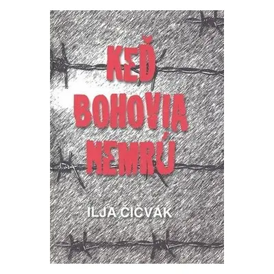 Keď bohovia nemrú - Ilja Čičvák