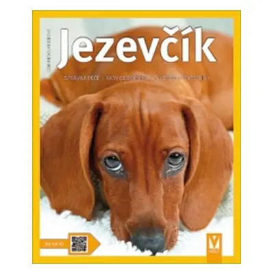 Jezevčík - Jak na to, 1. vydání - Leni Fiedelmeier