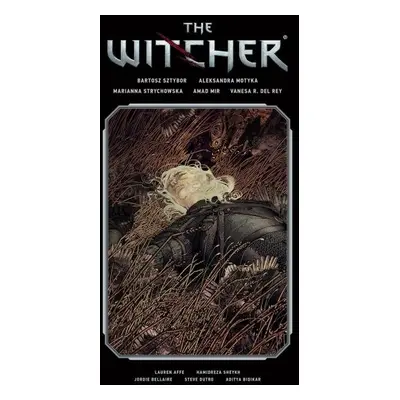 The Witcher Volume 2 - Bartosz Sztybor