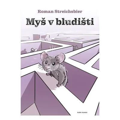 Myš v bludišti - Roman Streichsbier