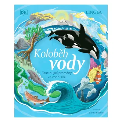 Koloběh vody - Fascinující proměny ve vodní říši - kolektiv autorů