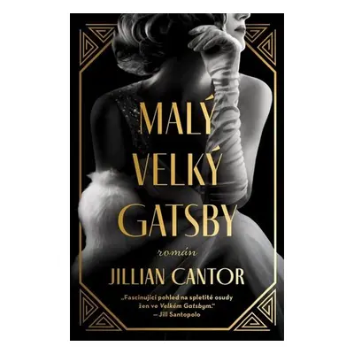 Malý velký Gatsby - Jillian Cantor