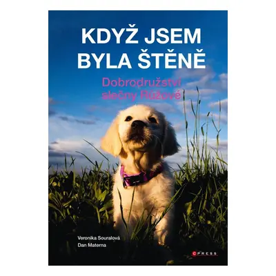 Když jsem byla štěně - Dobrodružství slečny Růžové - Dan Materna