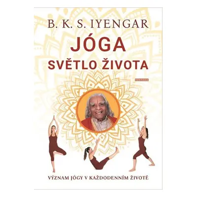 Jóga světlo života - Význam jógy v každodenním životě - B. K. S. Iyengar