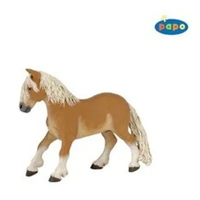 Poník Haflinger