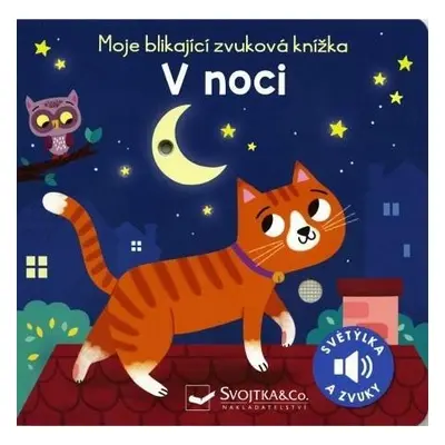 Moje blikající zvuková knížka V noci - Maria Höck