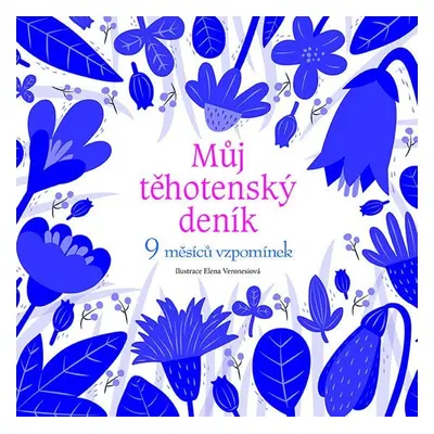 Můj těhotenský deník - 9 měsíců vzpomínek - Elena Veronesiová