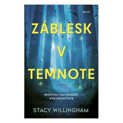 Záblesk v temnote - Stacy Willingham