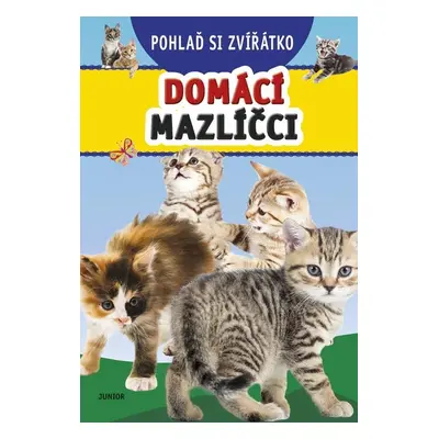 Pohlaď si zvířátko - Domácí mazlíčci - Kolektiv autorú