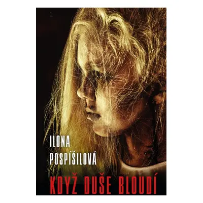 Když duše bloudí - Ilona Pospíšilová