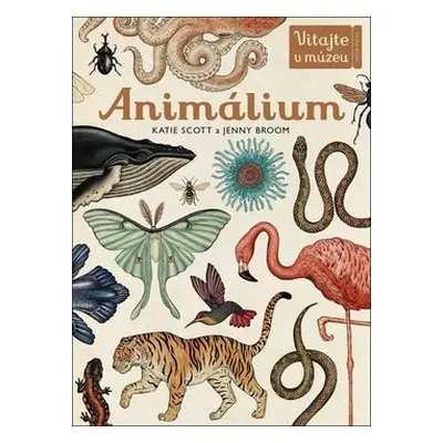 Animálium - Katie Scott