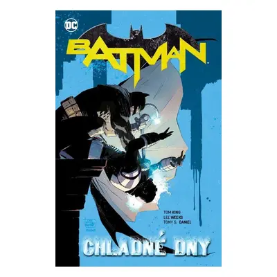 Batman - Chladné dny - Tom King