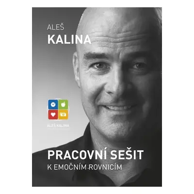 Pracovní sešit k emočním rovnicím - Aleš Kalina