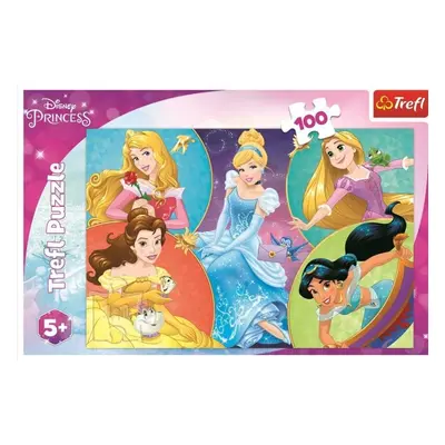 Trefl Puzzle Disney princezny: Setkání sladkých princezen 100 dílků