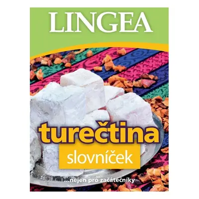 Turečtina ... nejen pro začátečníky - Kolektiv autorú