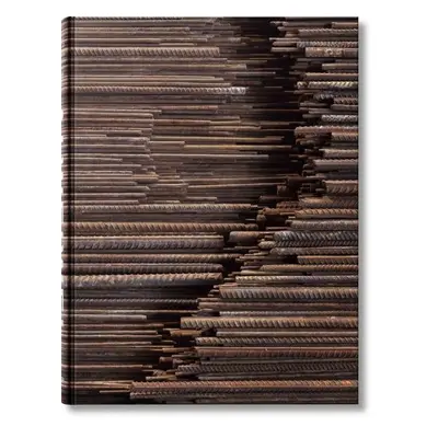 Ai Weiwei (limited edition) - Ai Weiwei