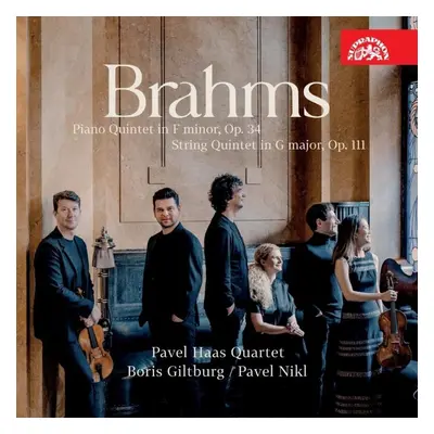 Brahms: Kvintety - CD - kolektiv autorů