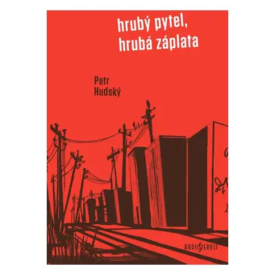 Hrubý pytel, hrubá záplata - Petr Hudský