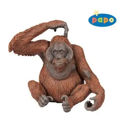 Orangutang