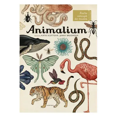 Animalium - Jenny Broom