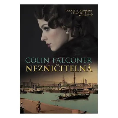 Nezničitelná - Colin Falconer