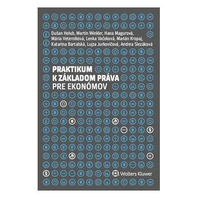 Praktikum k základom práva pre ekonómov - Dušan Holub; Martin Winkler; Hana Magurová