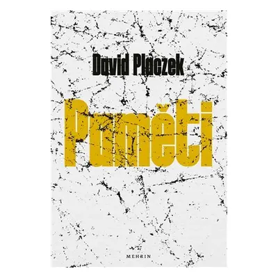 Paměti. David Placzek - David Placzek