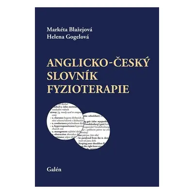 Anglicko-český slovník fyzioterapie - Markéta Blažejová