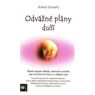 Odvážné plány duší - Robert Schwartz