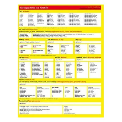 Česká gramatika v kostce - Czech Grammar in a Nutshell, 3. vydání - Lída Holá