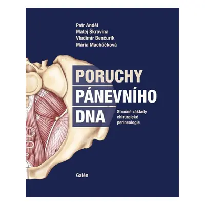 Poruchy pánevního dna - Stručné základy chirurgické perineologie - Petr Anděl