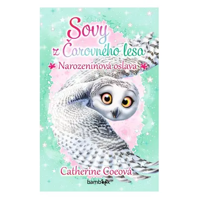 Sovy z Čarovného lesa 3 - Narozeninová oslava - Catherine Coe