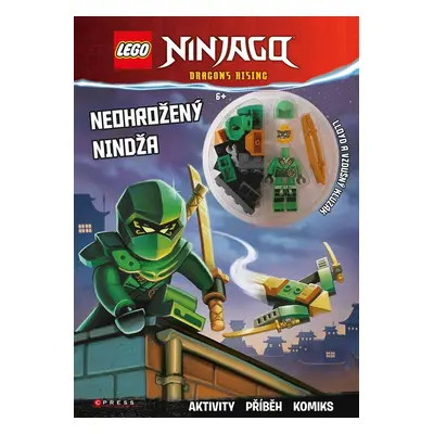 LEGO Ninjago - Neohrožený nindža - Kolektiv autorů