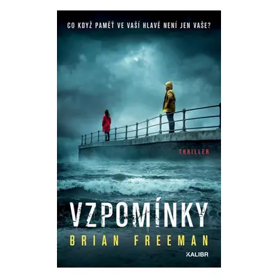 Vzpomínky - Brian Freeman