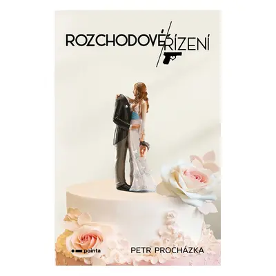 Rozchodové řízení - Petr Procházka