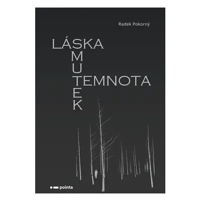 Láska, smutek, temnota - Radek Pokorný