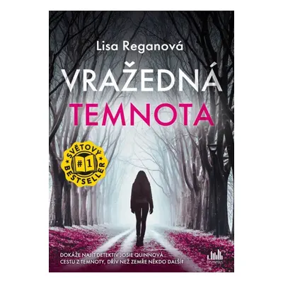 Vražedná temnota - Lisa Regan